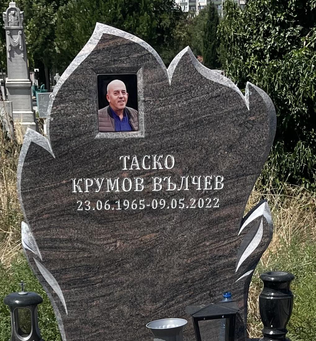 Модел 29